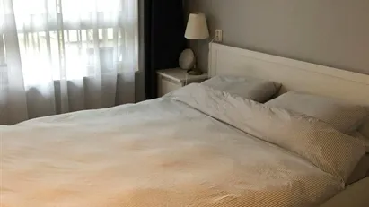 Apartment for rent in Amsterdam Oud-Zuid, Amsterdam