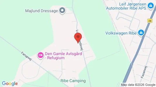 Apartments for rent i Ribe - kort over placeringen