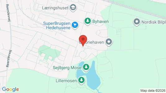 Apartments for rent i Hedehusene - kort over placeringen