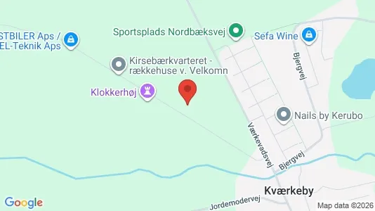 Apartments for rent in Ringsted - Photo from Google Street View