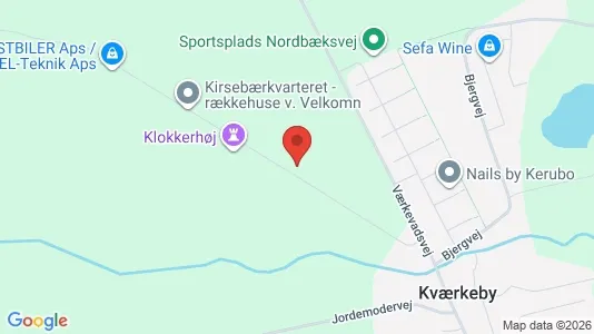 Apartments for rent in Ringsted - Photo from Google Street View