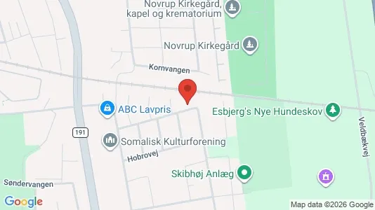 Apartments for rent i Esbjerg Center - kort over placeringen