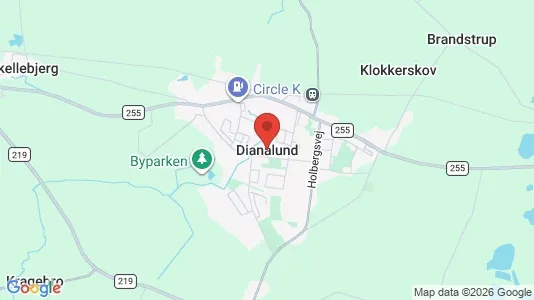 Apartments for rent i Dianalund - kort over placeringen