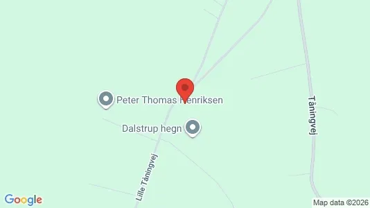 Apartments for rent i Skanderborg - kort over placeringen