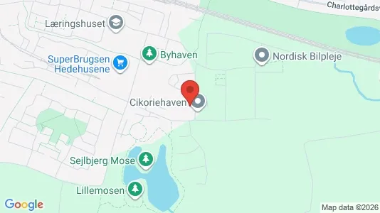 Apartments for rent i Hedehusene - kort over placeringen