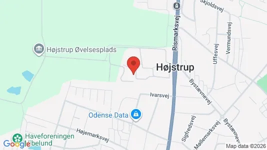 Apartments for rent i Odense V - kort over placeringen