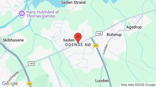 Apartments for rent i Odense NØ - kort over placeringen