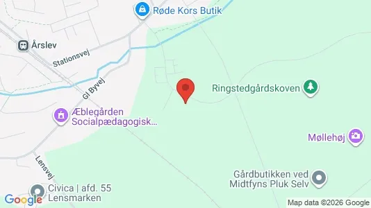 Apartments for rent i Årslev - kort over placeringen