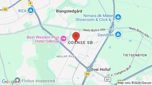 Apartments for rent i Odense SØ - kort over placeringen
