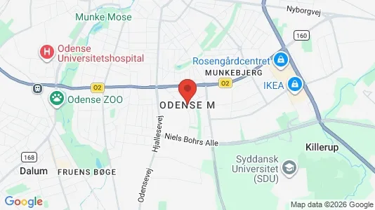 Apartments for rent i Odense M - kort over placeringen