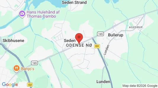 Apartments for rent i Odense NØ - kort over placeringen