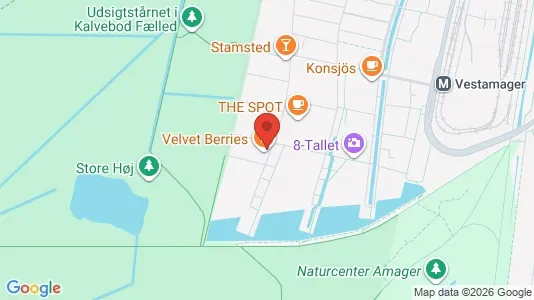 Apartments for rent i Copenhagen S - kort over placeringen
