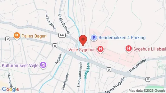 Apartments for rent i Vejle Center - kort over placeringen