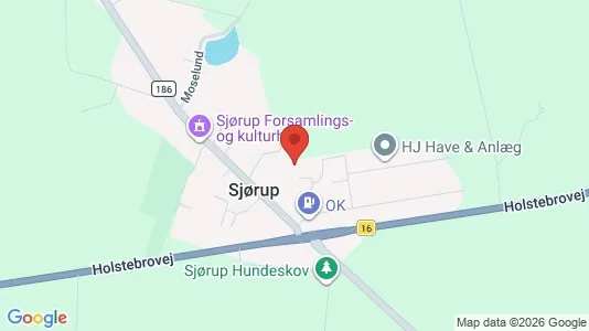 Apartments for rent i Viborg - kort over placeringen
