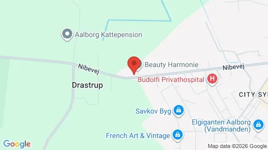 Apartments for rent i Aalborg SV - kort over placeringen